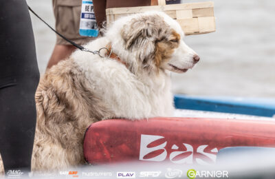King of the Bay - Gkotb Day 2 03547