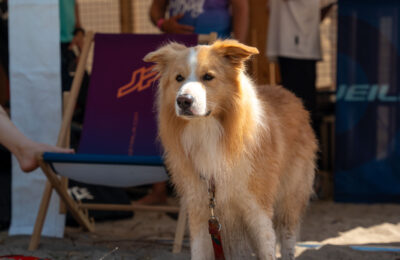 King of the Bay - Day3 Gallery 36